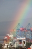 pot of gold discovered at the port